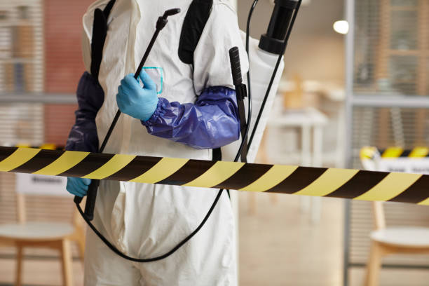Professional Hoarding Cleanup technician working in Mesquite, TX